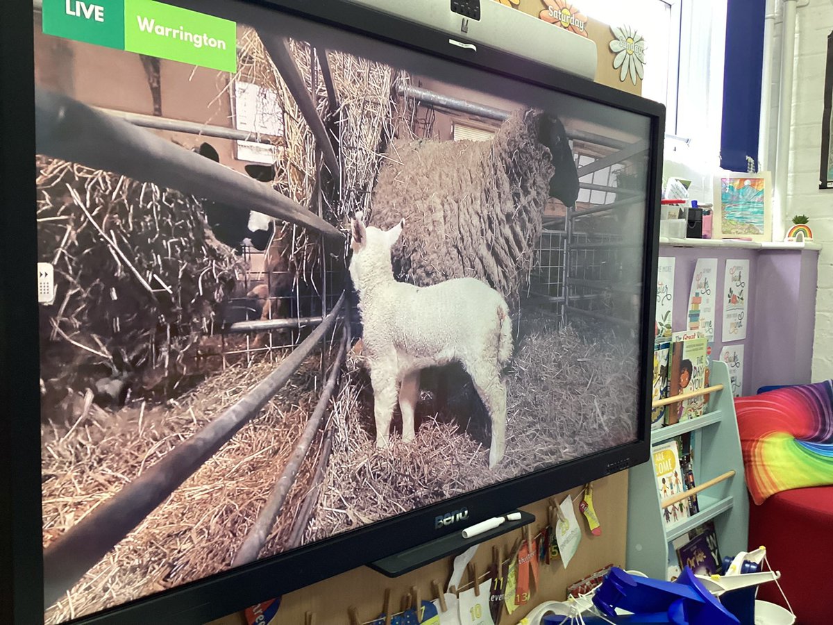 For Science week, Sweden class joined Farmer Fiona to learn about how she cares for her animals and runs a farm effectively to produce food. We learnt many fun facts along the way! 🐑🐄 @NFUEducation @GosbertonAcad