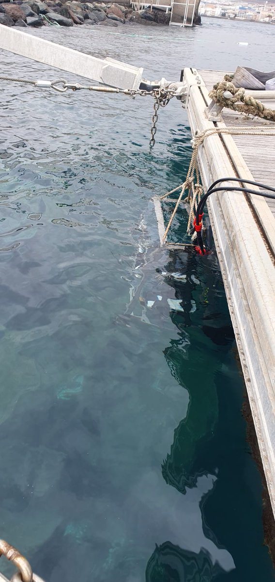 biogeosensing's tweet photo. @TechOceanS tests Day 11! (and Days 9 & 10😅)
Things have been busy for the @biogeosensing team at @plocan. Sensors integrated in #BoatyMcBoatface were successful in a 24h mission. #CytoTeam got good results from field deployments. #BioCAM was also deployed. @NOCnews https://t.co/rOTZXpyvI3