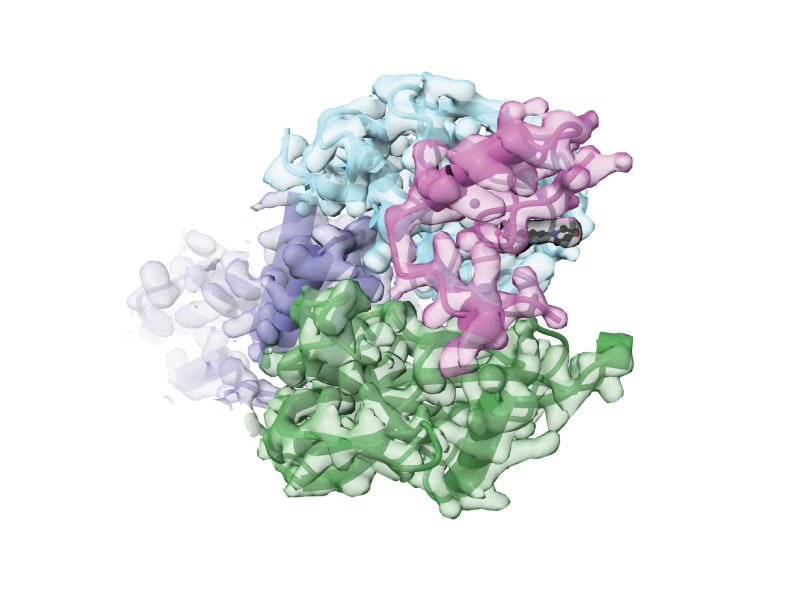 A new PACE-based system generates protein degradation tags that interact with an otherwise-inert small molecule to trigger the rapid breakdown of a cell’s native proteins, with molecular glue systems that can become useful new research tools. broad.io/Pace-News-0314…