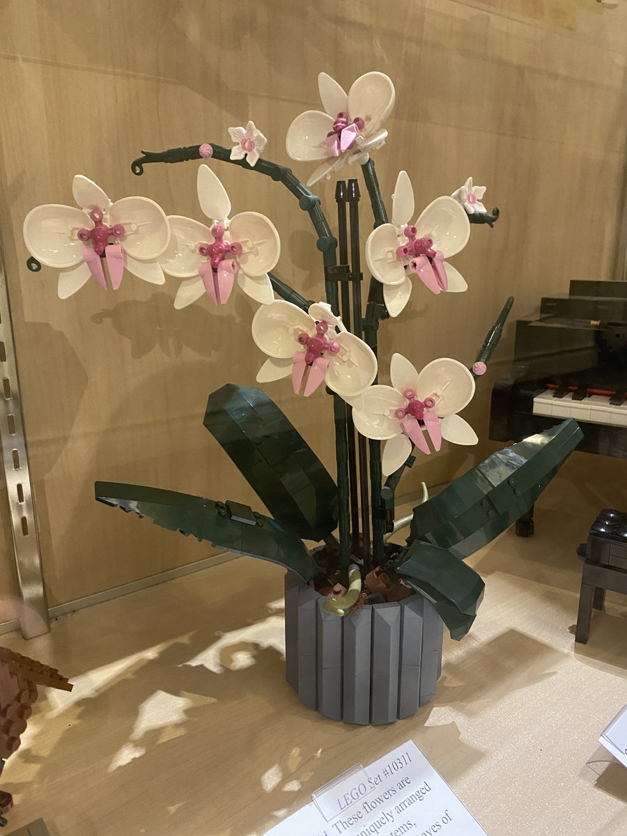 Sidney Museum tweet media