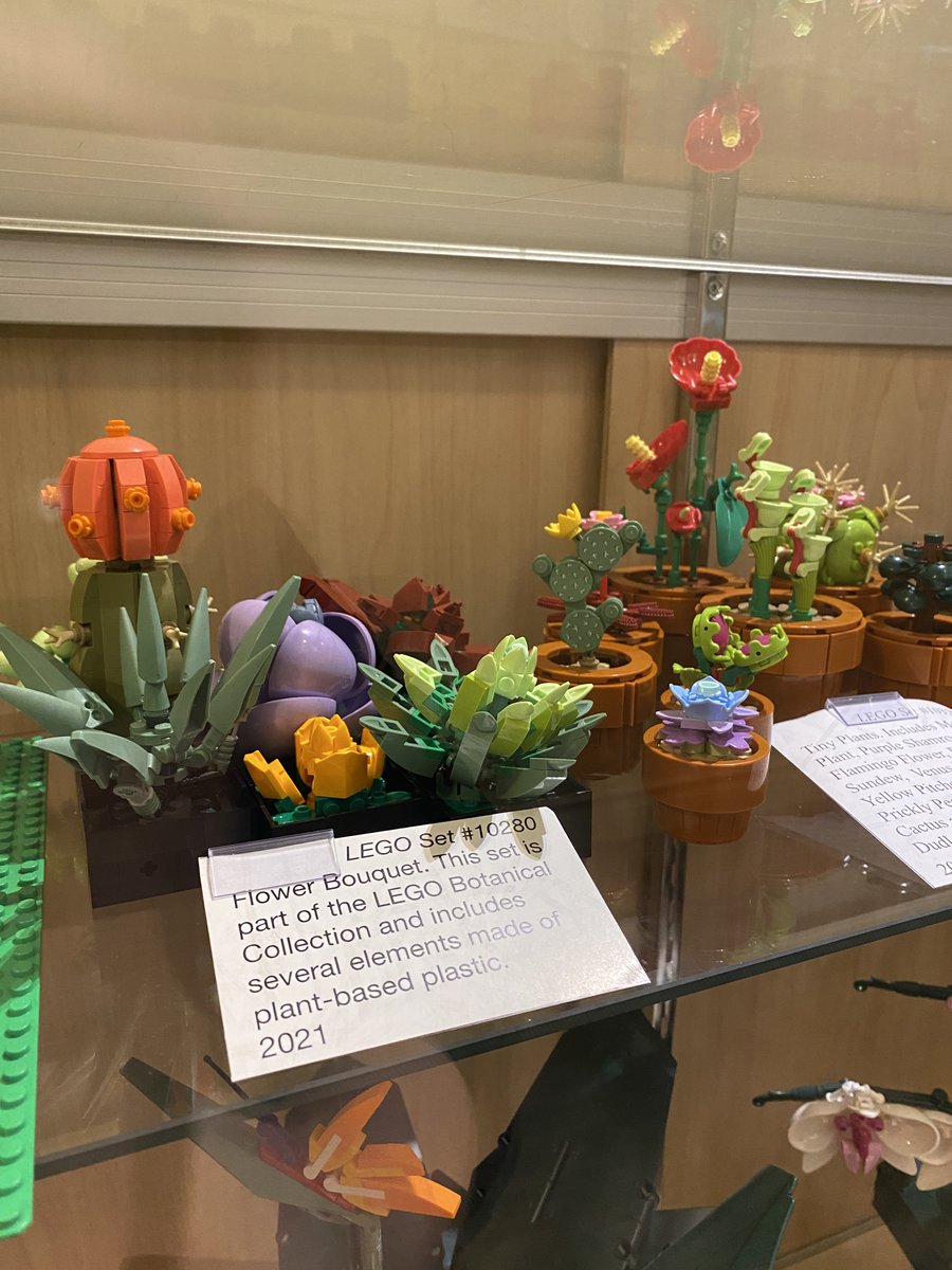 Sidney Museum tweet media