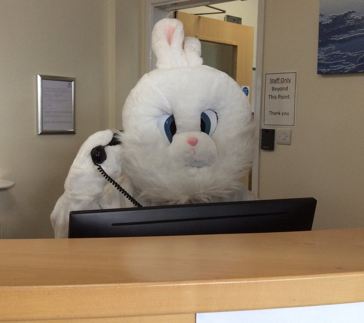 Easter Bunny would really like you to buy 'Bunny Breakfast' tickets! He has taken over Mrs Smolka seat at the front office &amp; checked out the sales! It might be we move to one breakfast on the Tuesday 26th but we will decide Monday. Tickets will be on sale during 'Hot Dog Friday'