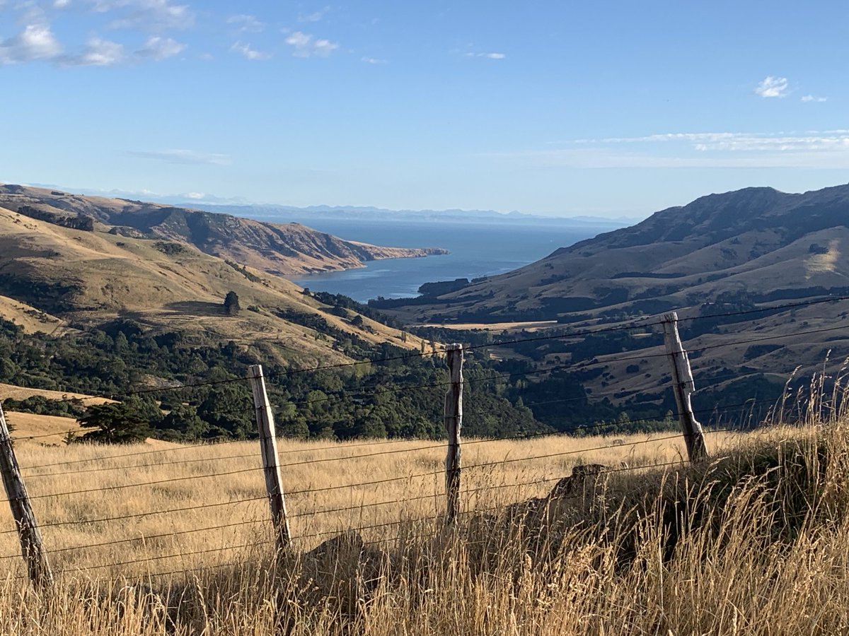 Great day to be out interviewing farmers on Banks Peninsula