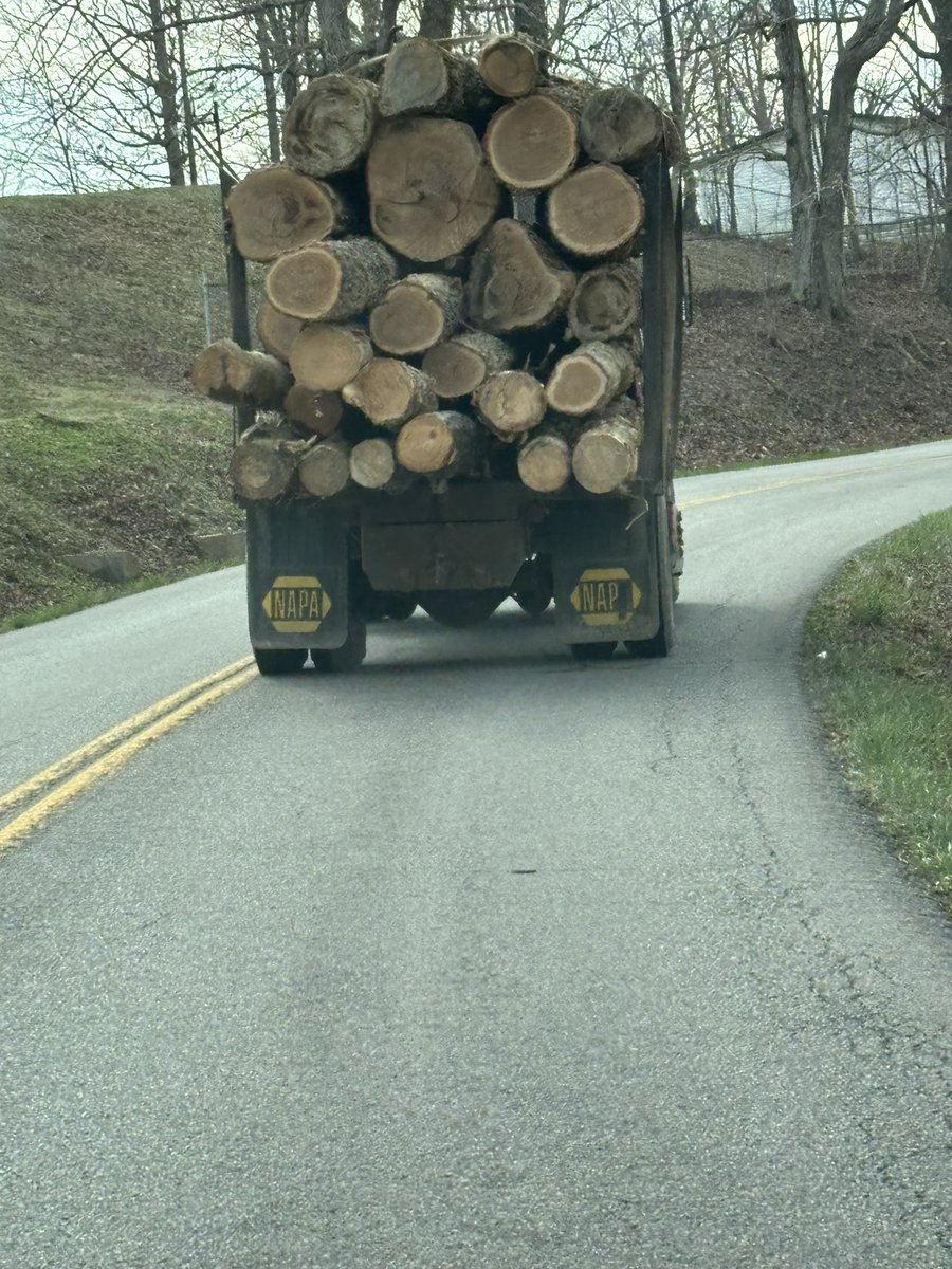 WadeJo8's tweet image. Should Mr. Poe be nervous? #FinalDestination2