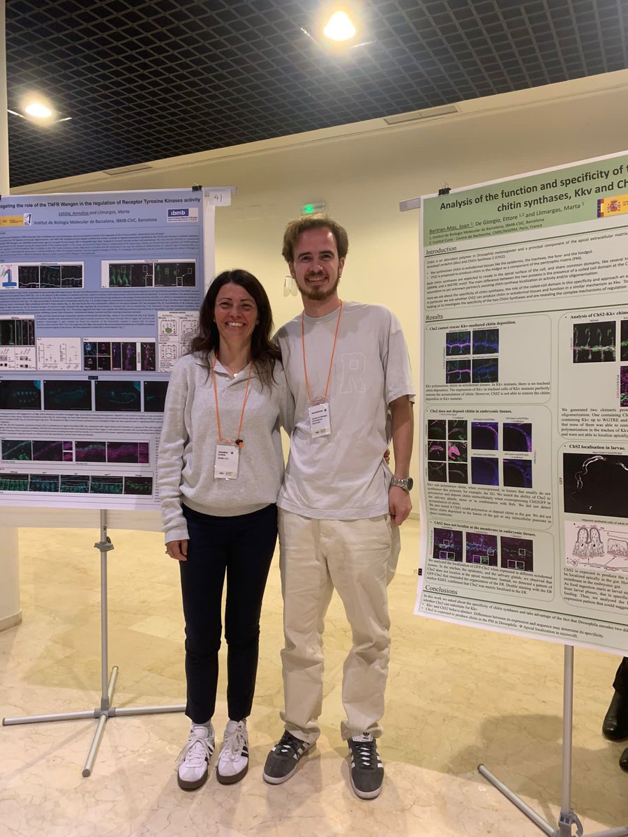 Llimargas Lab tweet media