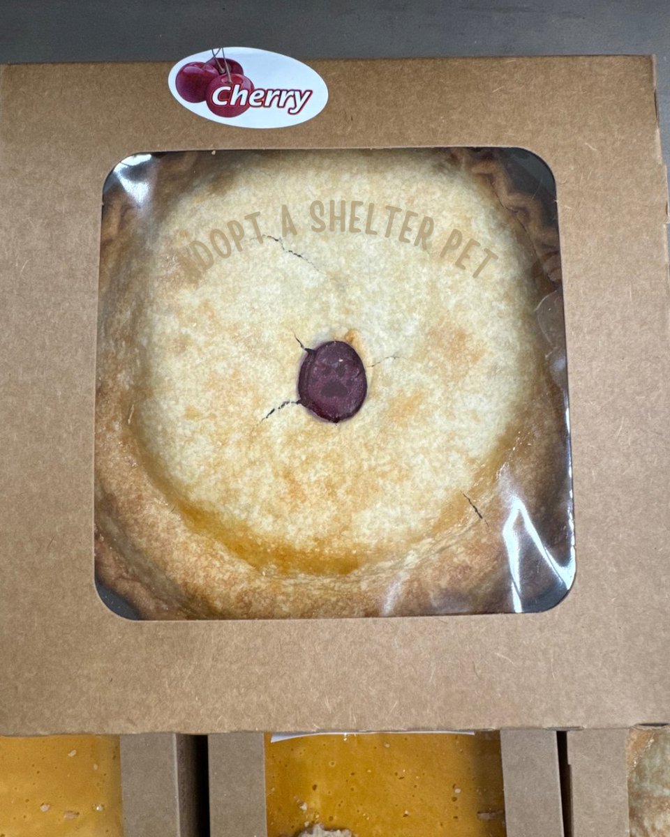 🥧 Can you believe our luck stumbling upon this mouthwatering pie on Pi day? Wait...what's that we see? A hidden message urging us to 'adopt a shelter pet'? 😮 Well played, universe! It's time to add a furry friend to our pie-eating squad! 🐾 Who's with us? #PiDay #AdoptDontShop