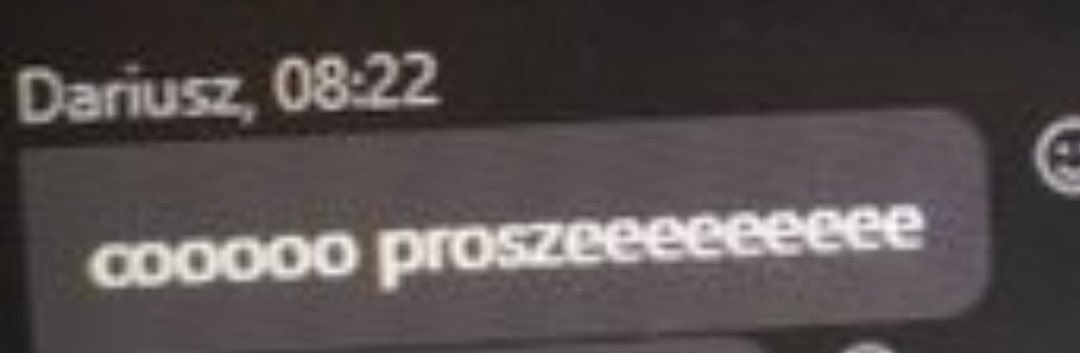 Kiedy ktoś twierdzi, że koty są lepsze od psów