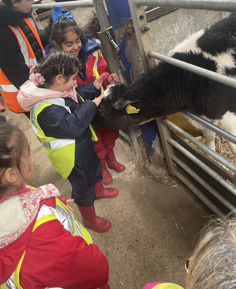 @EYFSchurch_prim (@eyfschurch) on Twitter photo Reception have had THE most amazing time at Swithen’s Farm today. The children were incredible as always and their faces said it all 🤩 <a href="/church_prim/">Academy St James</a> <a href="/FarmSwithens/">Swithens Farm</a> <a href="/50TTDBradford/">50 Things Bradford</a> Reception have had THE most amazing time at Swithen’s Farm today. The children were incredible as always and their faces said it all 🤩 <a href="/church_prim/">Academy St James</a> <a href="/FarmSwithens/">Swithens Farm</a> <a href="/50TTDBradford/">50 Things Bradford</a>