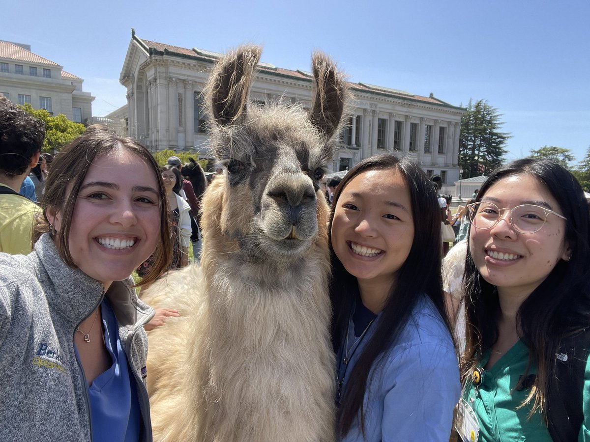 mytinycuties's tweet image. I give to Cal bc of my amazing mentors and friends who always are there for me - from relaxing on the green, to celebrating 100 years of Berkeley Optometry, to submitting a case report, I know that these people (and more!) have my back. 
💙💛🧸
#BerkeleyOptometry 
#CalBigGive