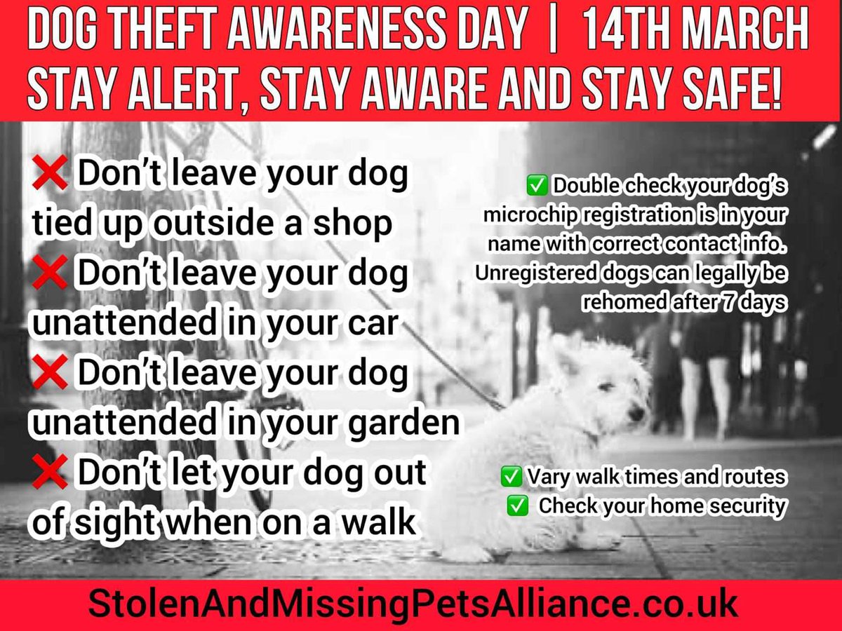 #DogTheftAwarenessDay

#PetTheftReform #PetTheft
#missingdog #TheftByFinding 
#MakeChipsCount #FernsLaw
#DogLostUK #Lostdog #Stolendog #ScanMe