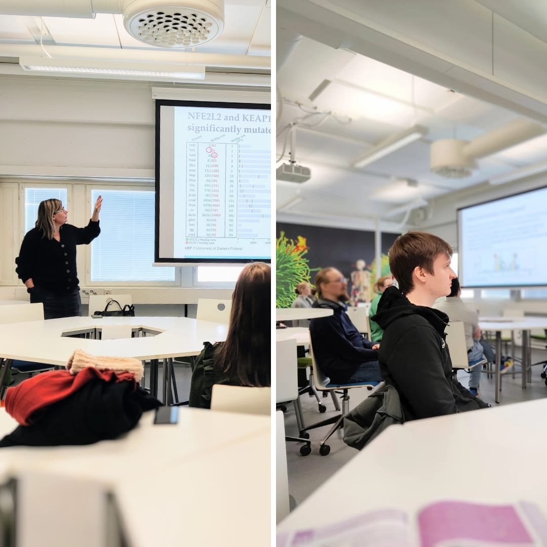 Levonen Lab tweet media