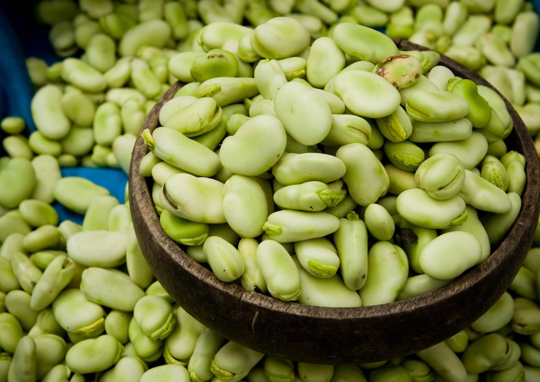 GardasChetana's tweet image. #Arosis beans are the mainstream bean in the U.S. regularly utilized for filling the burritos.

The bean can be utilized in #squashed structure or the refried structure.

Know more: shorturl.at/cgFVY

#ArosisBeans #BeanMarket #Legumes #HealthyEating #PlantBased #Vegetarian