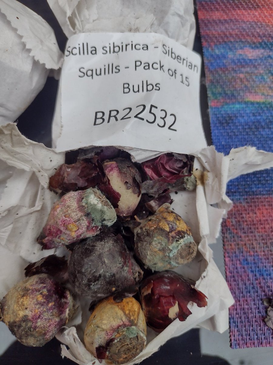 PERSAUD67 tweet media