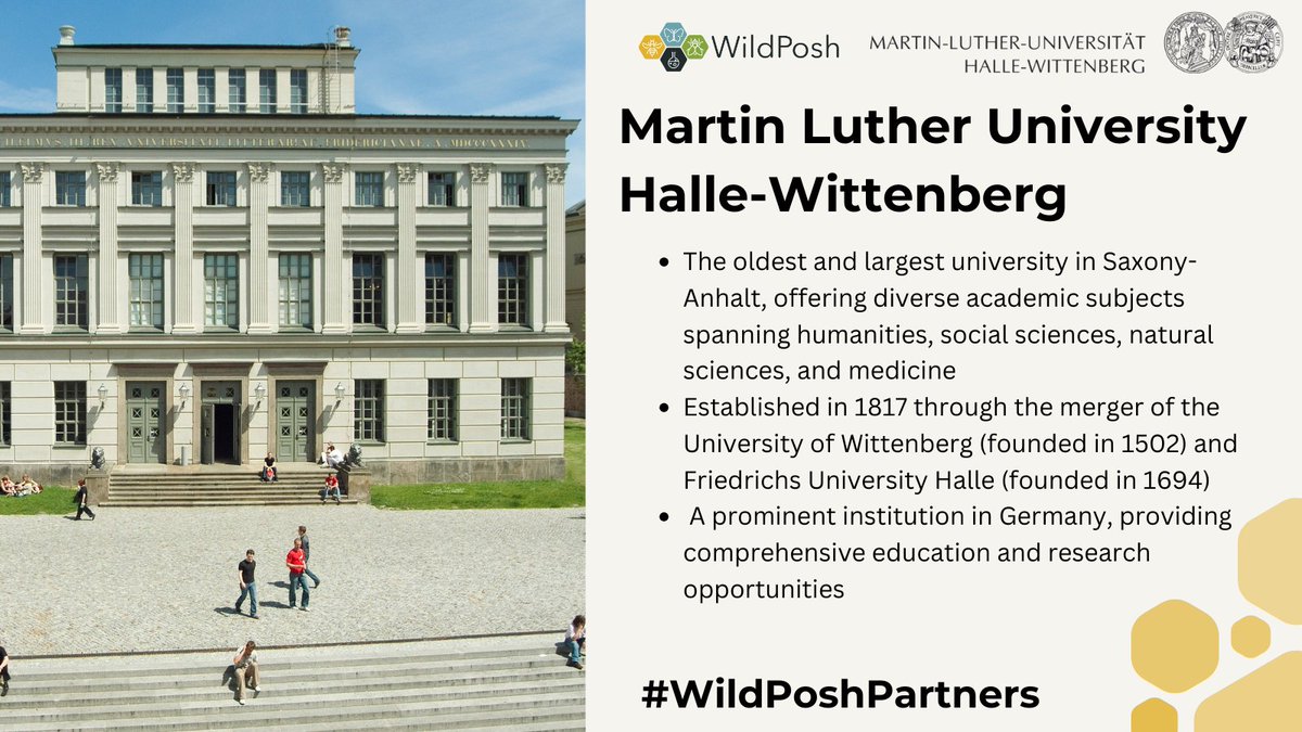 📢Martin Luther University Halle-Wittenberg, renowned for its expertise in #EnvironmentalSciences, is up next on #WildPoshPartners!🦋 MLU's diverse academic profile strengthens our mission to enhance #PollinatorHealth and sustainability in 🇪🇺 and brings invaluable expertise.👩‍💻