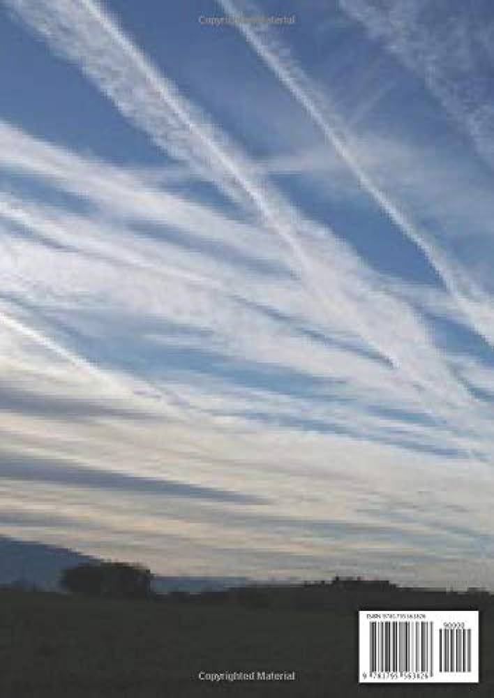 MC_Bruuce's tweet image. Where are all the straight line clouds in @SpaceX launch/flight videos? 

We see them all over the world, except from space, js. 

Will we be seeing them in the next “live feed?” Asking for a friend, btw
@elonmusk #SpaceX #SolarGeoEngineering