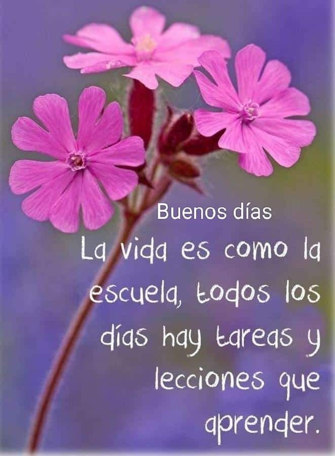 Motivosentuvida's tweet photo. Buenos días!
#FelizJueves https://t.co/XpNCa8gDEG