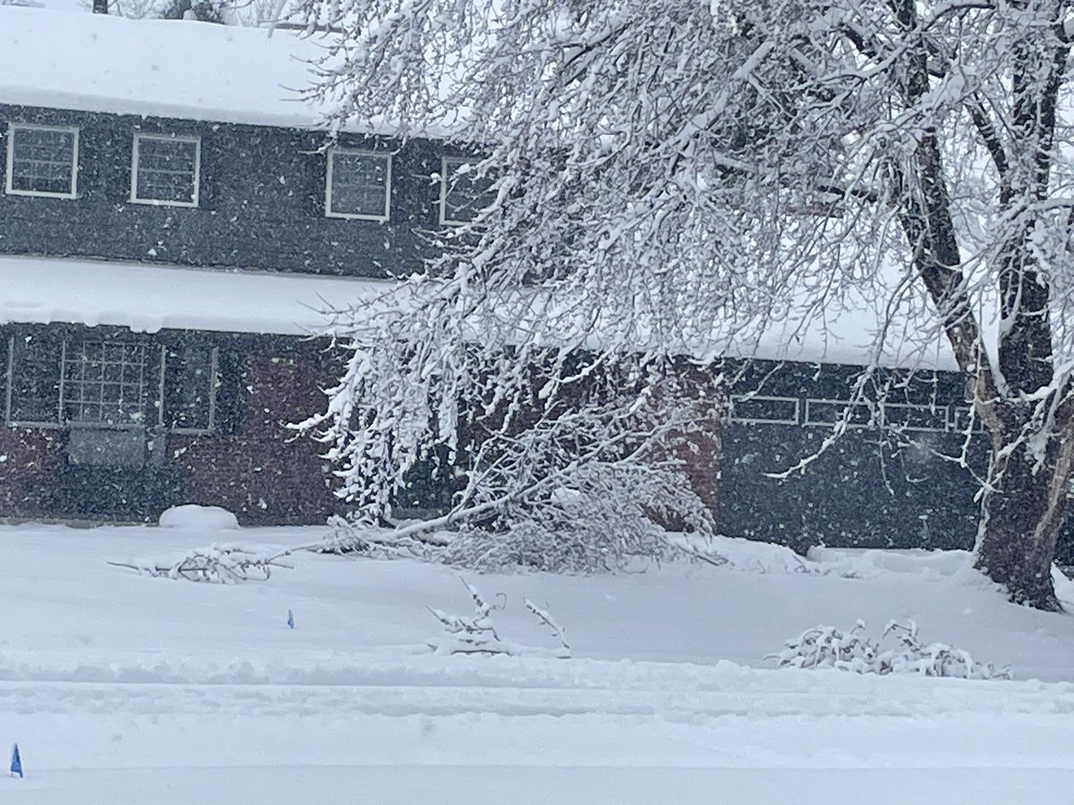 Already seeing this heavy snow take its toll on the trees in our JeffCo neighborhood. Lots of large branches coming down! Tune into @CBSNewsColorado throughout the day for the lastest information on the storm.