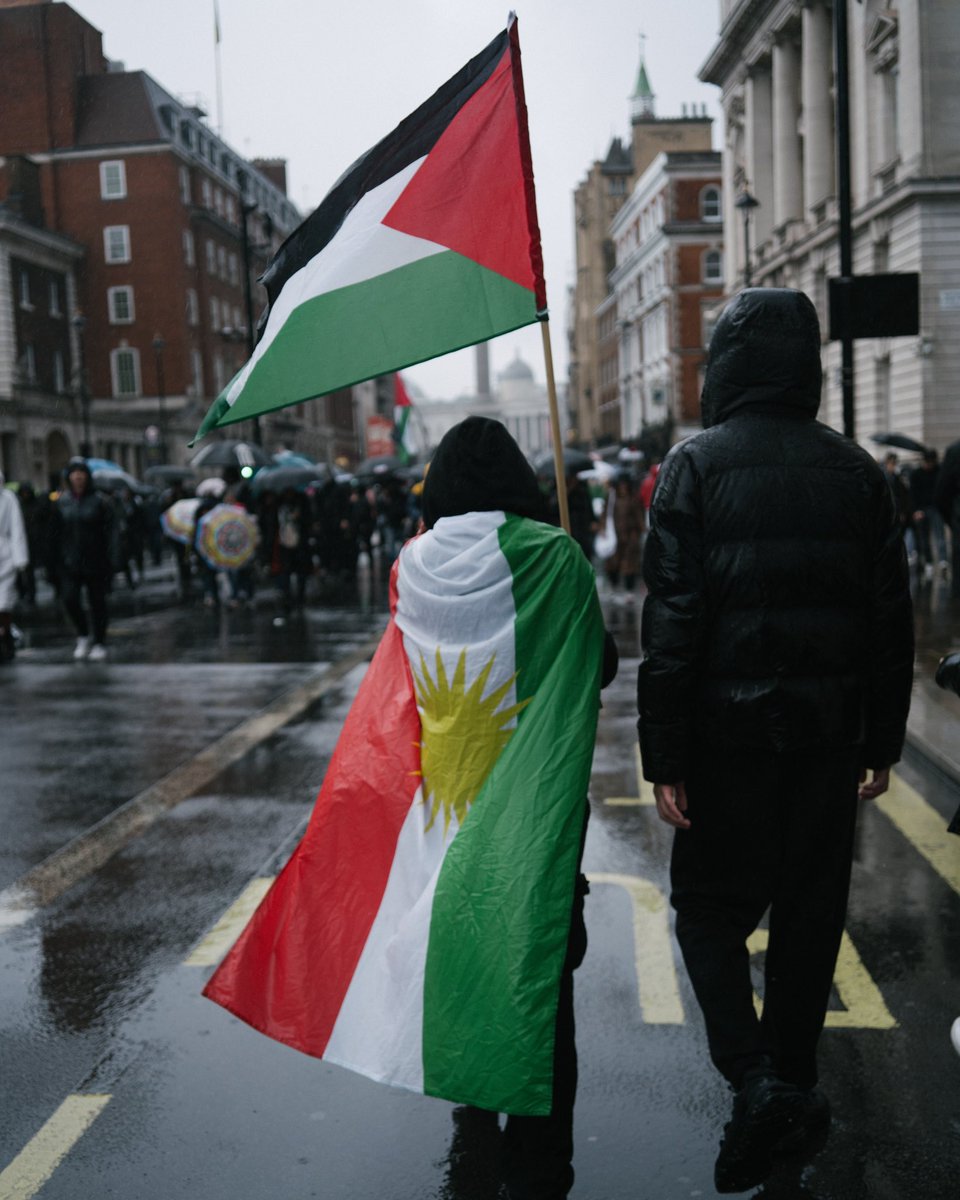 Palestine Protest in London. Nov 23.