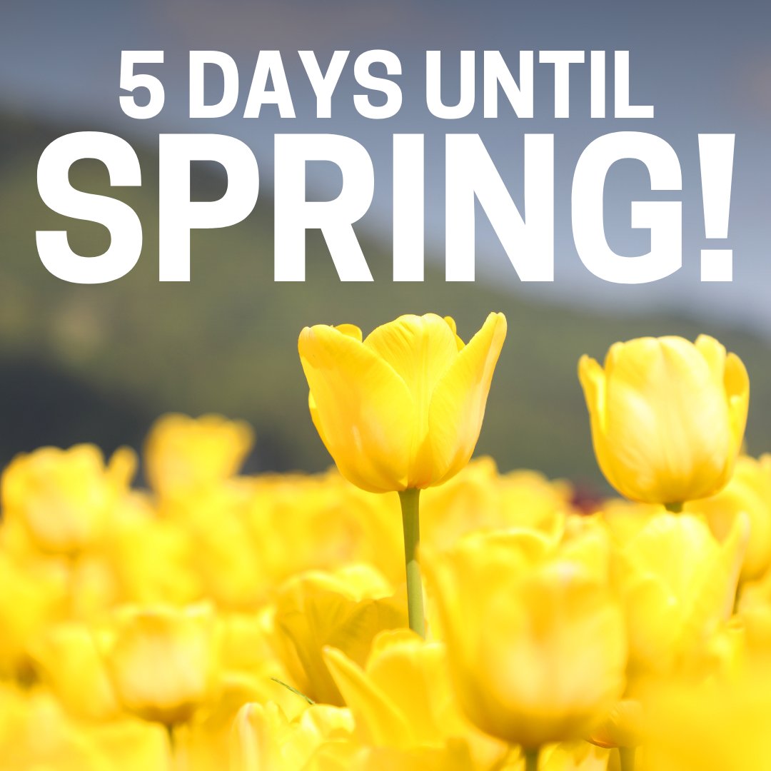 Action News 5 tweet media