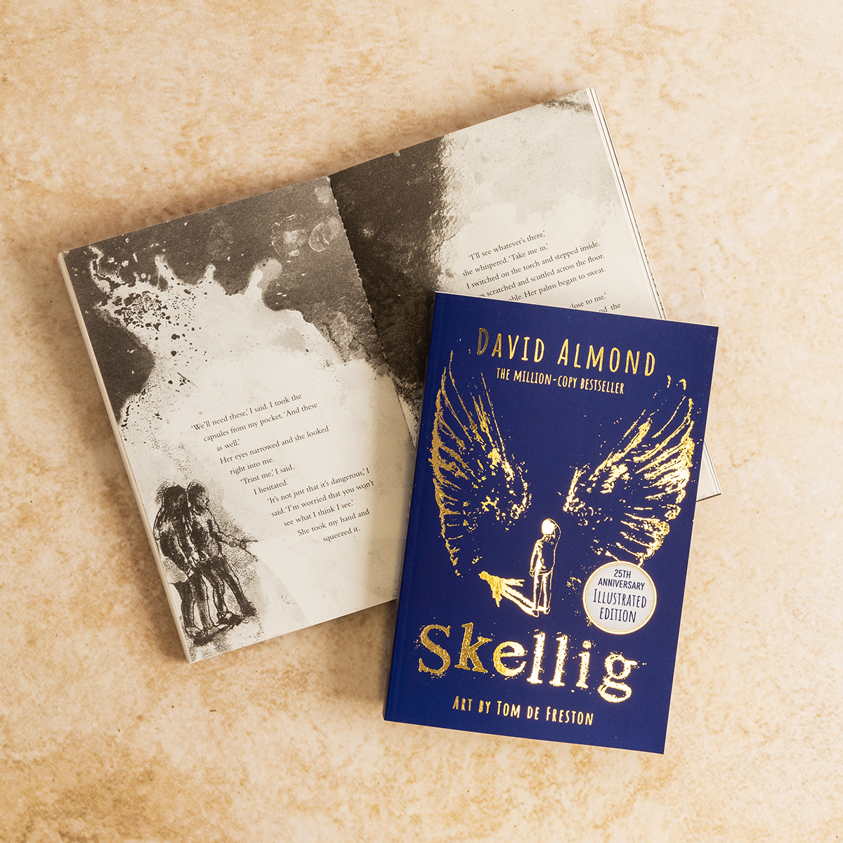 This beautifully illustrated edition of Skellig by @DavidJAlmond is now out in paperback! Discover downloadable classroom resources and posters for David's books here: brnw.ch/21wHSey