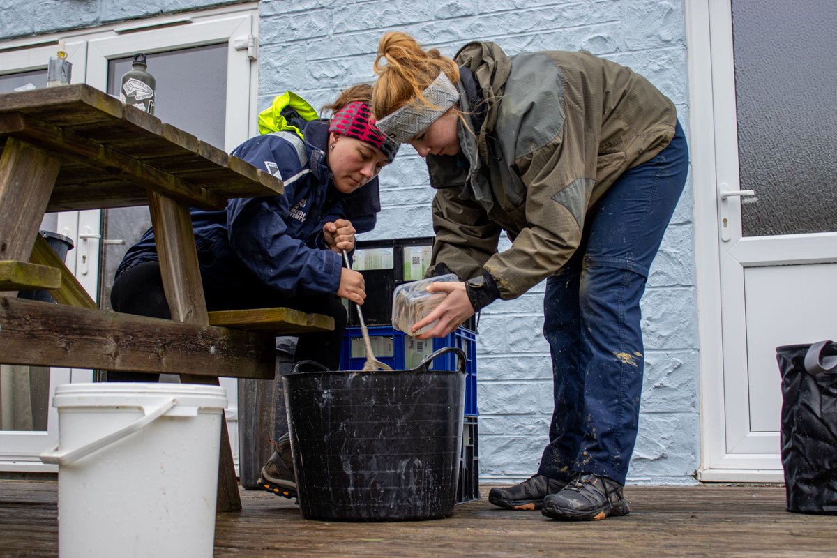 This week the #Solent and #IsleofWight team, led by @AnouskaMendzil have successfully planted #Seagrass seeds via #DIS method in two locations as phase one of active #restoration on the Isle of Wight!❤️🌊🌱 @solentseascape @YACHTS4SCIENCE @wwf_uk @arksenproject @lizearle