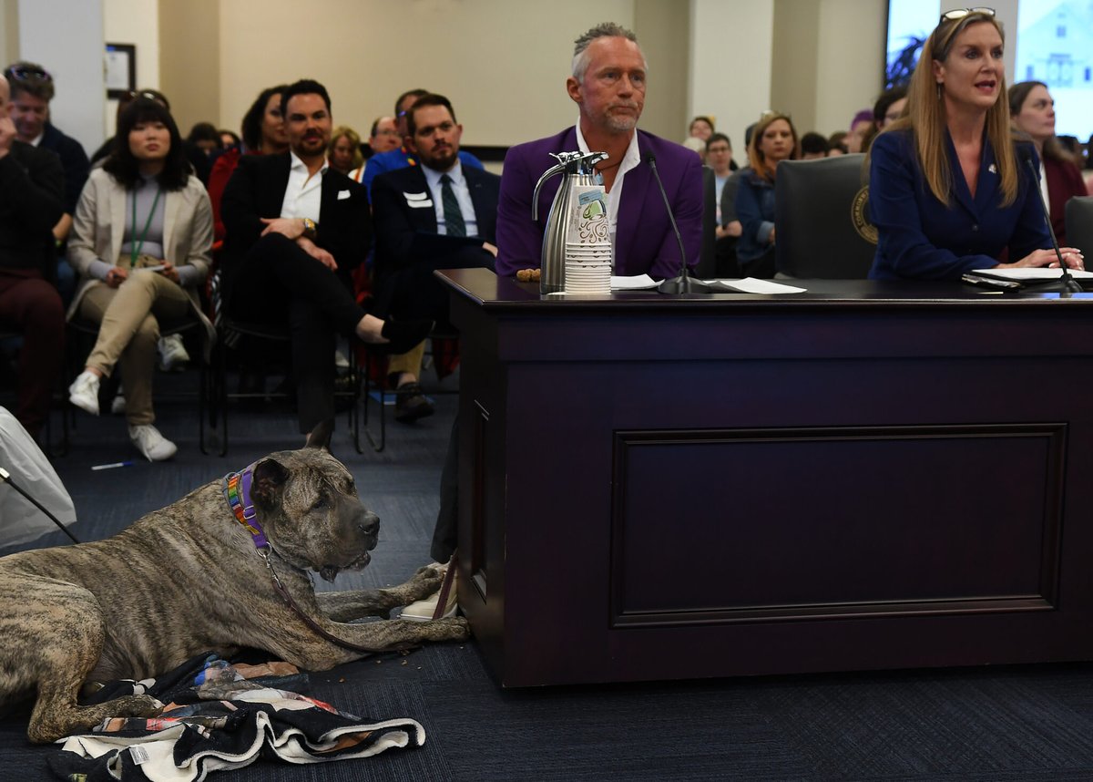 Bill making animal torture a felony on first offense advances.
Ethan's Law. 
By @ladd_sarah #KYGA24 Read: kentuckylantern.com/briefs/bill-ma… via <a href="/KYLantern/">Kentucky Lantern || bsky @kentuckylantern.com</a>