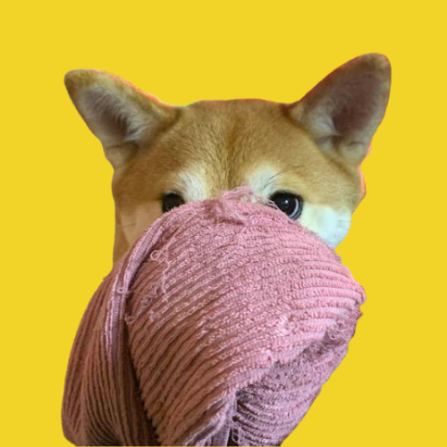 dogwiftowel's tweet photo. We are live 🔥

J9xn4QPXPEak6QuQ934mCmDtpNGcfbuUe9QYnc9WEpJz

dogwiftowel

$WIT https://t.co/jRKizBVGyK