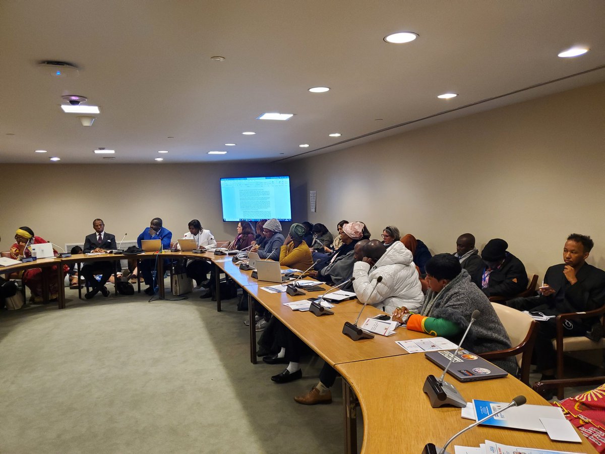 It was a great hSecurity for me Ngalim Eugine as a civil society actor to moderate the Cameroon side event at the UN on fast tracking the implementation of the UNSCR 1325 on women, Peace and security.