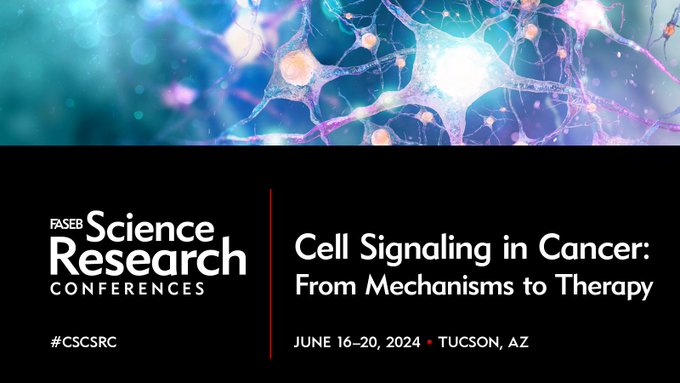 mages05's tweet photo. Abstracts Due 4/21! Join #CSCSRC in Tucson in June when cancer research meets innovation; Explore genetic & molecular breakthroughs for novel therapies!
Organizers: Drs. Jorrit Enserink, Michael Lee, ElenaPiskounova, Victoria Sanz-Moreno
Info: https://t.co/7hK6vl7oGt https://t.co/2pNguJYYW2