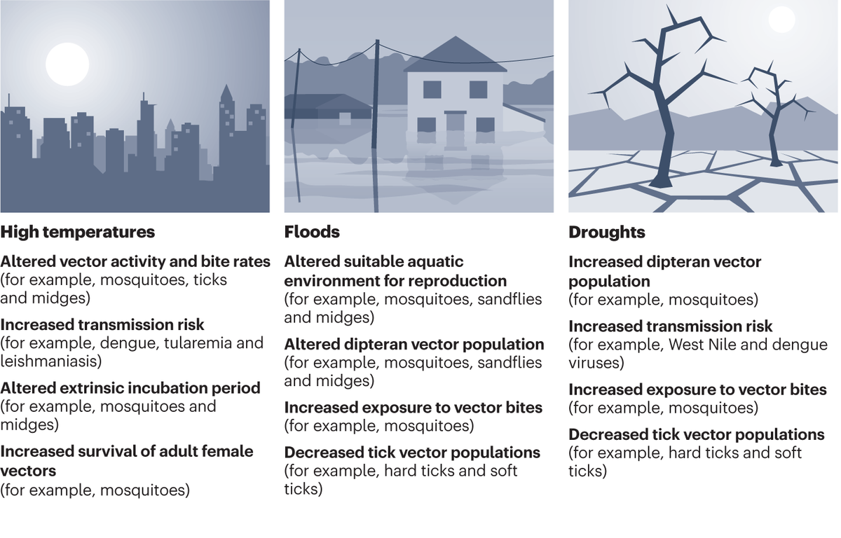 Effects of climate change and human activities on vector-borne diseases nature.com/articles/s4157… de Souza & Weaver examine various factors, such as climate change, human activities, and mobility, impacting the redistribution of vectors and vector-borne disease spread @wmarciels