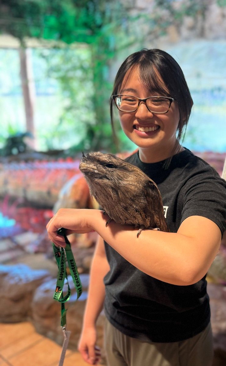 Don’t talk to me or my sons ever again. Unless you have sweet potato or eucalyptus leaves.