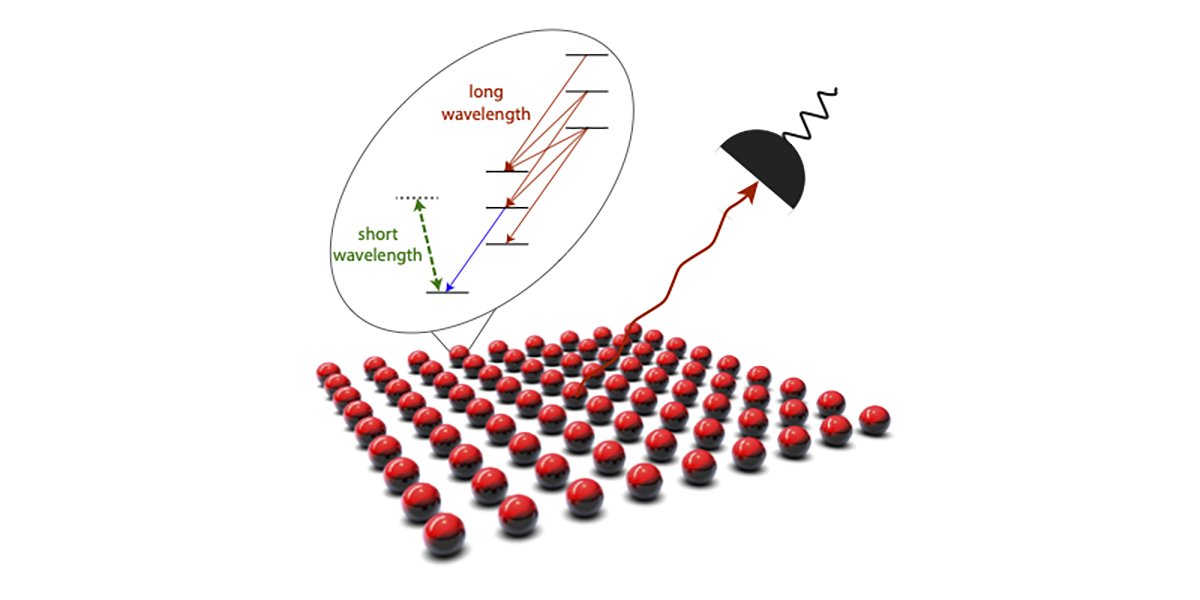 A study reveals Dicke superradiance in ordered arrays of alkaline-earth atoms like strontium and ytterbium, showcasing the potential for quantum optical sources and insights into many-body dynamics. @PhysicsColumbia go.aps.org/3PnJJo1