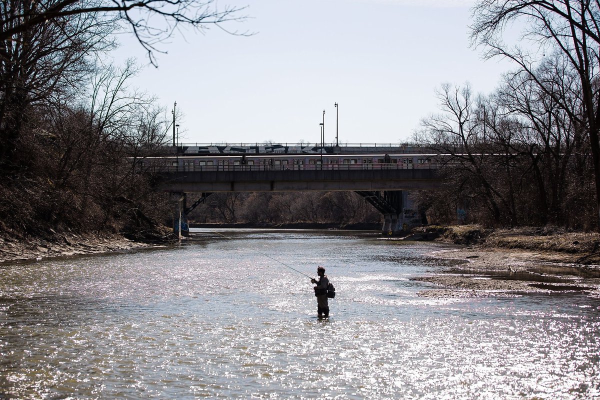 Ricardo Rodriguez traveled from Woodbridge to fly fish on the Humber river during an unseasonably warm day in March. 📸 @TorontoStar #Toronto #photojurnalism