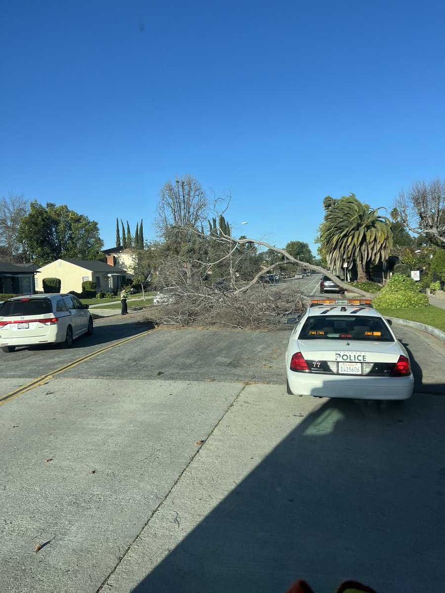 Large trees down 1700 blk of Locust St & Villa/Allen. Streets blocked. Public Works crews enroute. @PasadenaGov