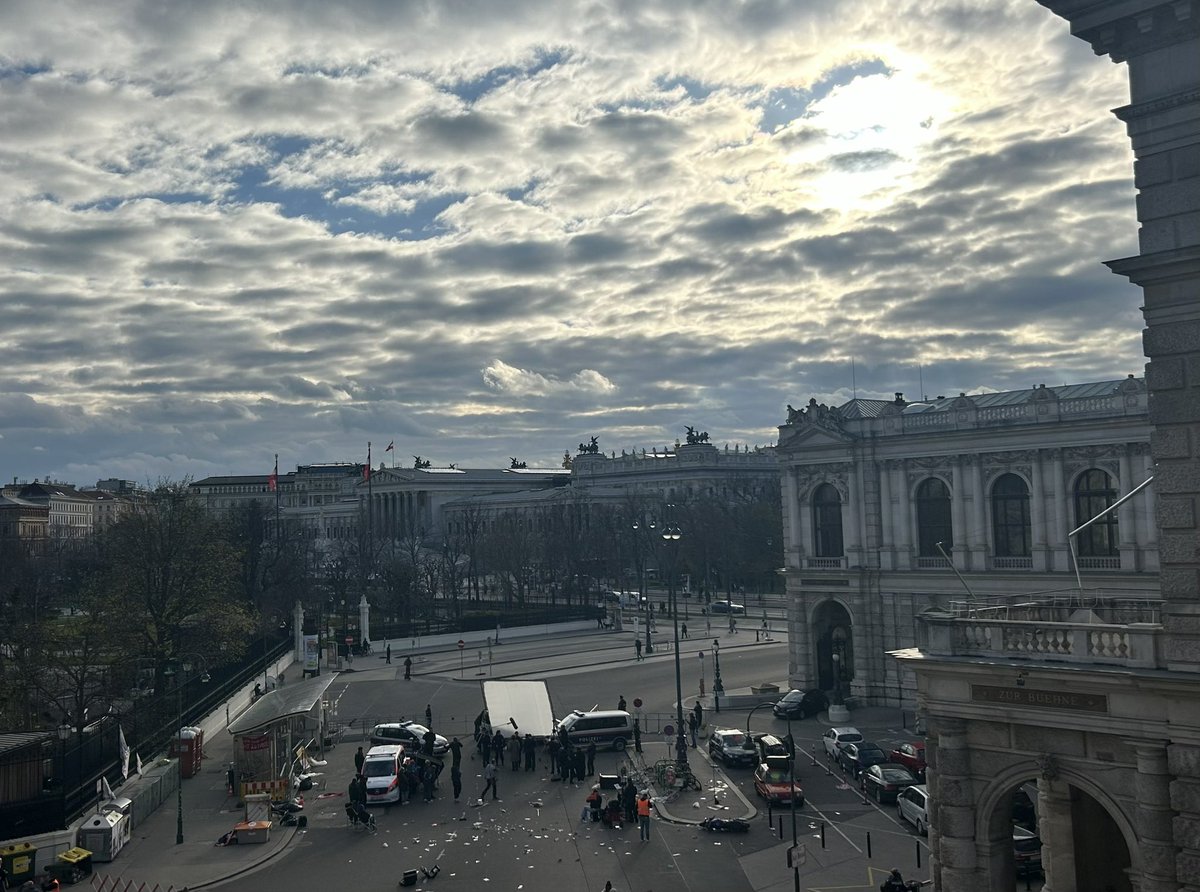 Meri Disoski tweet media