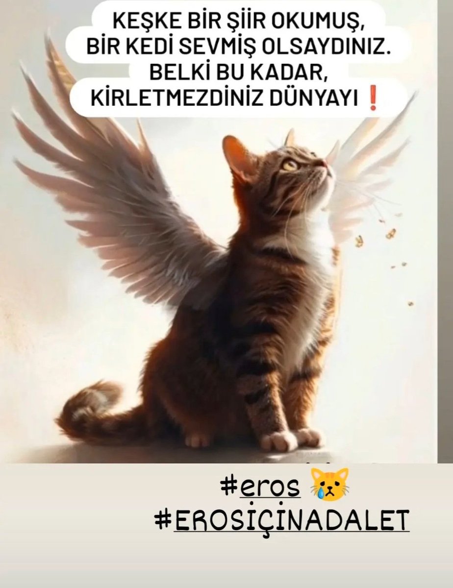 #Eros😿
#ErosİçinAdalet 
#ibrahimkeloğlanTUTUKLANSIN 
Masum savunmasız canlara uzanan kirli eller kopsun!!!
Biz ADALET diye haykırırken bu canilere İYİ HAL indirimi yapanlar UTANSIN🤬
#HayvanHaklarıAnayasa 
<a href="/adalet_bakanlik/">T.C. Adalet Bakanlığı</a>