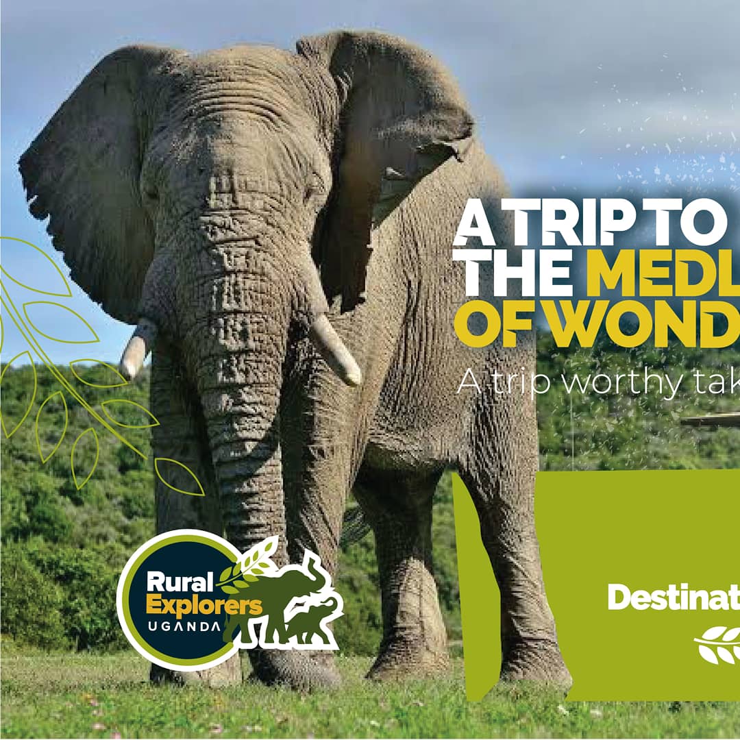 ExplorersRural's tweet photo. Throwback to the 1st group trip we organized at Rural Explorers Uganda. https://t.co/i5fDYbStPO