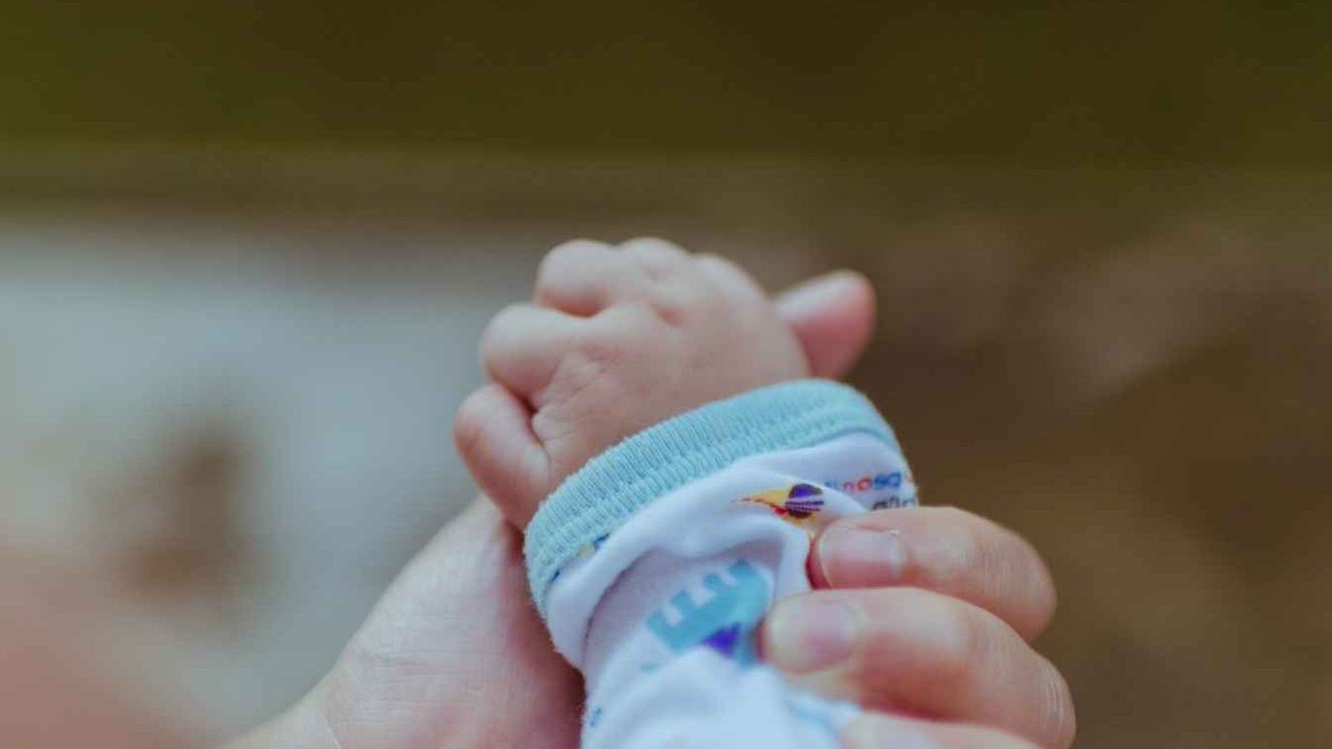 Senedd Research tweet media