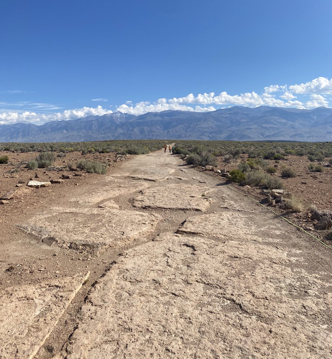 Another #LPSC2024 plug, I’ll be presenting my work with <a href="/NASAPersevere/">ARCHIVED - NASA's Perseverance Mars Rover</a> and <a href="/NASAExpeditions/">ARCHIVED - NASA Expeditions</a> at the poster session this evening, #113. Come learn about using GPR to investigate polygonal fractures!