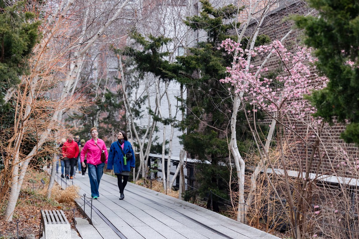 highlinenyc's tweet image. Pops of pink along the High Line 💕 #signsofspringnyc
📸: @lizligon