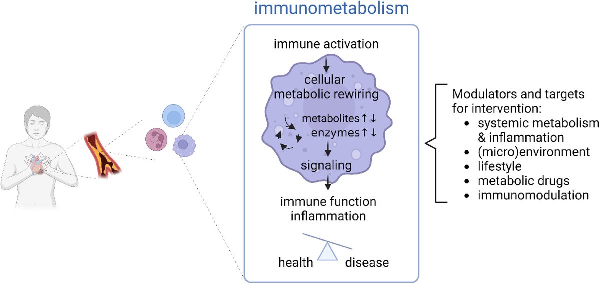ZHeart11768530's tweet photo. 🔴 Understanding immunometabolism in cardiovascular disease: translating research into practice @ESC_journals

https://t.co/TaOcXGiQYa
#immunity #inflammation  #heart #cardiopulse #Cardiology #MedEd #MedX #CardioEd #medical #cardiotwitter https://t.co/yQXEopgJUP