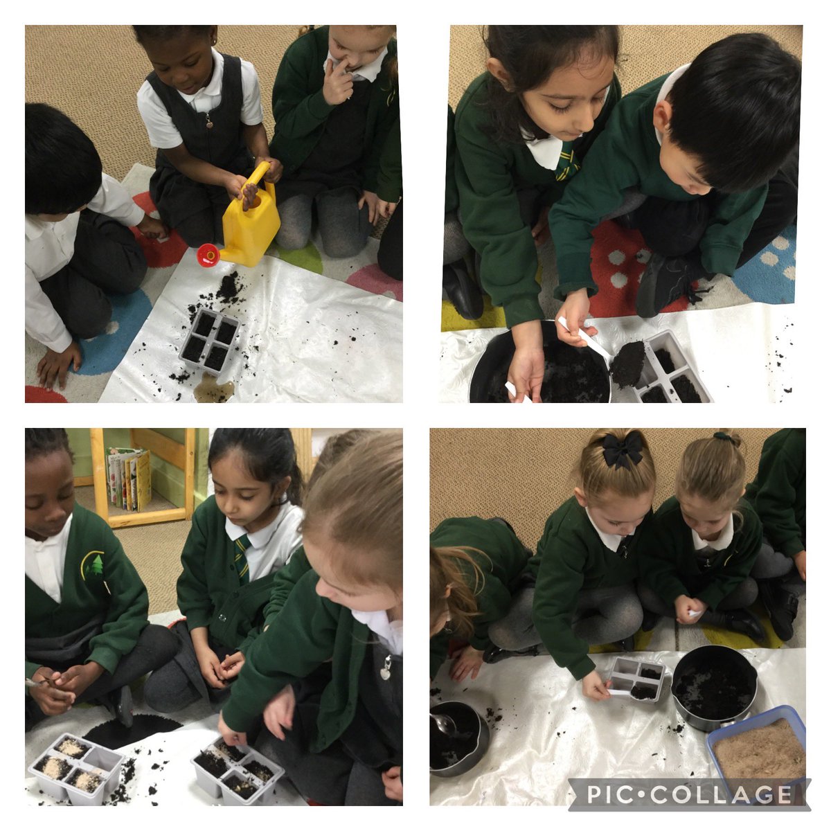 firsprimarysale's tweet photo. RecElm had great fun creating a bee cafe after learning how important bees are in our world. #Teamwork #Oracy #helpthebees https://t.co/hbsUUNyU7B