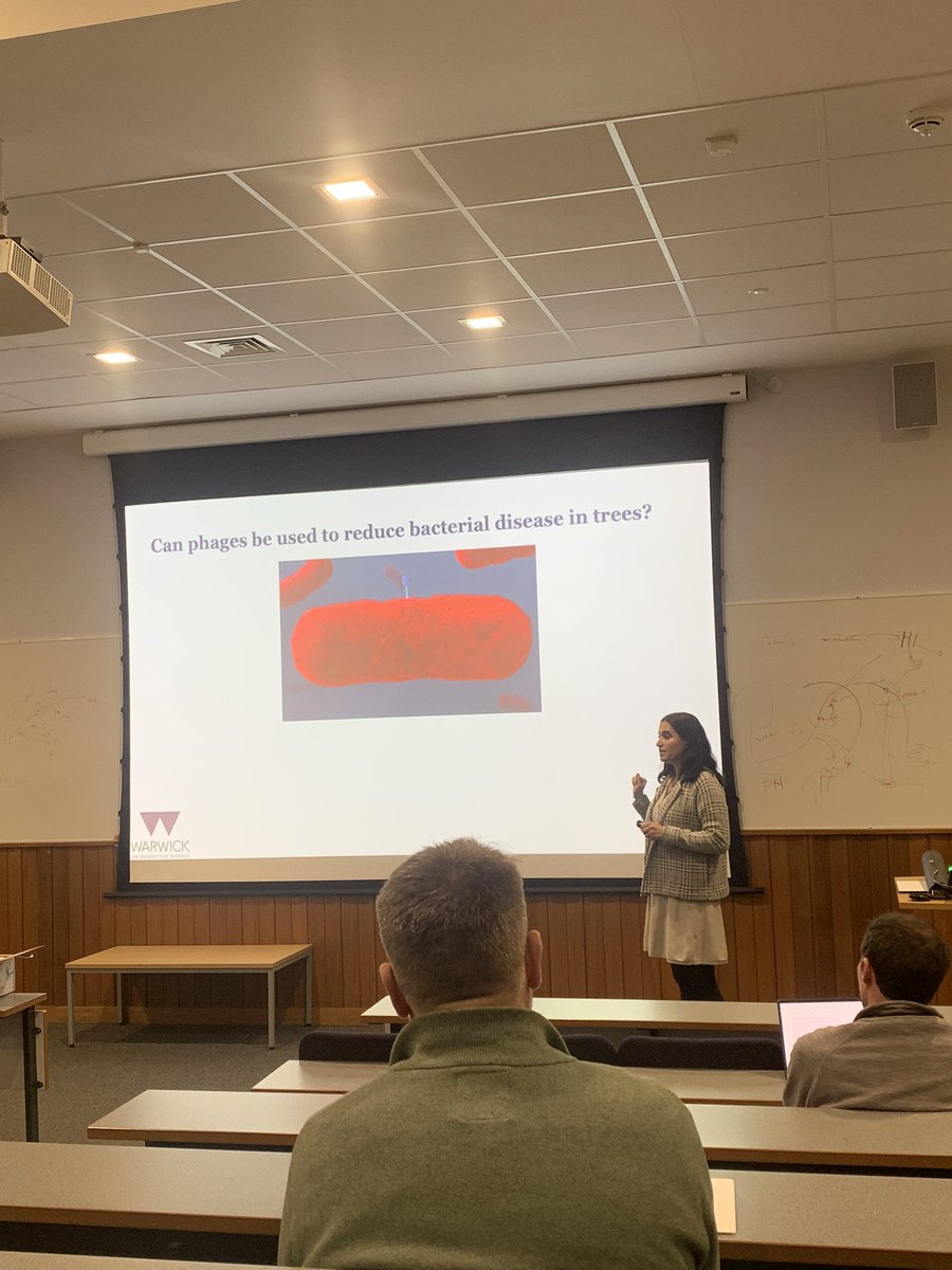 Trisna Tungadi (@trisna_tungadi) on Twitter photo Great to have <a href="/MojganRabiey/">Mojgan Rabiey</a> here at <a href="/KeeleUniversity/">Keele University 🐿️</a> today to talk about utilising phage to control bacterial pathogen on crops🌱🦠! Great to have <a href="/MojganRabiey/">Mojgan Rabiey</a> here at <a href="/KeeleUniversity/">Keele University 🐿️</a> today to talk about utilising phage to control bacterial pathogen on crops🌱🦠!