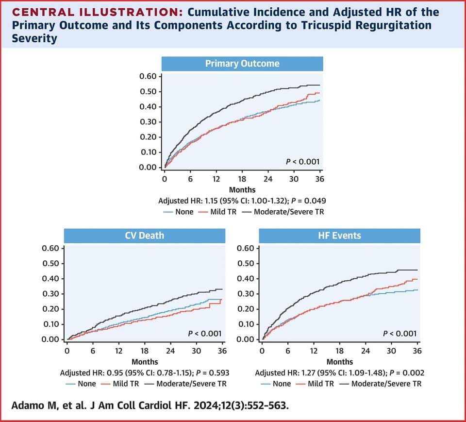 ZHeart11768530's tweet photo. 🔴 Tricuspid Regurgitation and Clinical Outcomes in #HFrEF

👉Moderate/severe TR raises #HF &amp; #CVdeath risk in #HFrEF pts, highlighting the need for TR Mx. This study also shows that omecamtiv mecarbil’s effectiveness remains unaffected by TR severity. https://t.co/LnqfOyYzJa https://t.co/fQr4UnkPaS