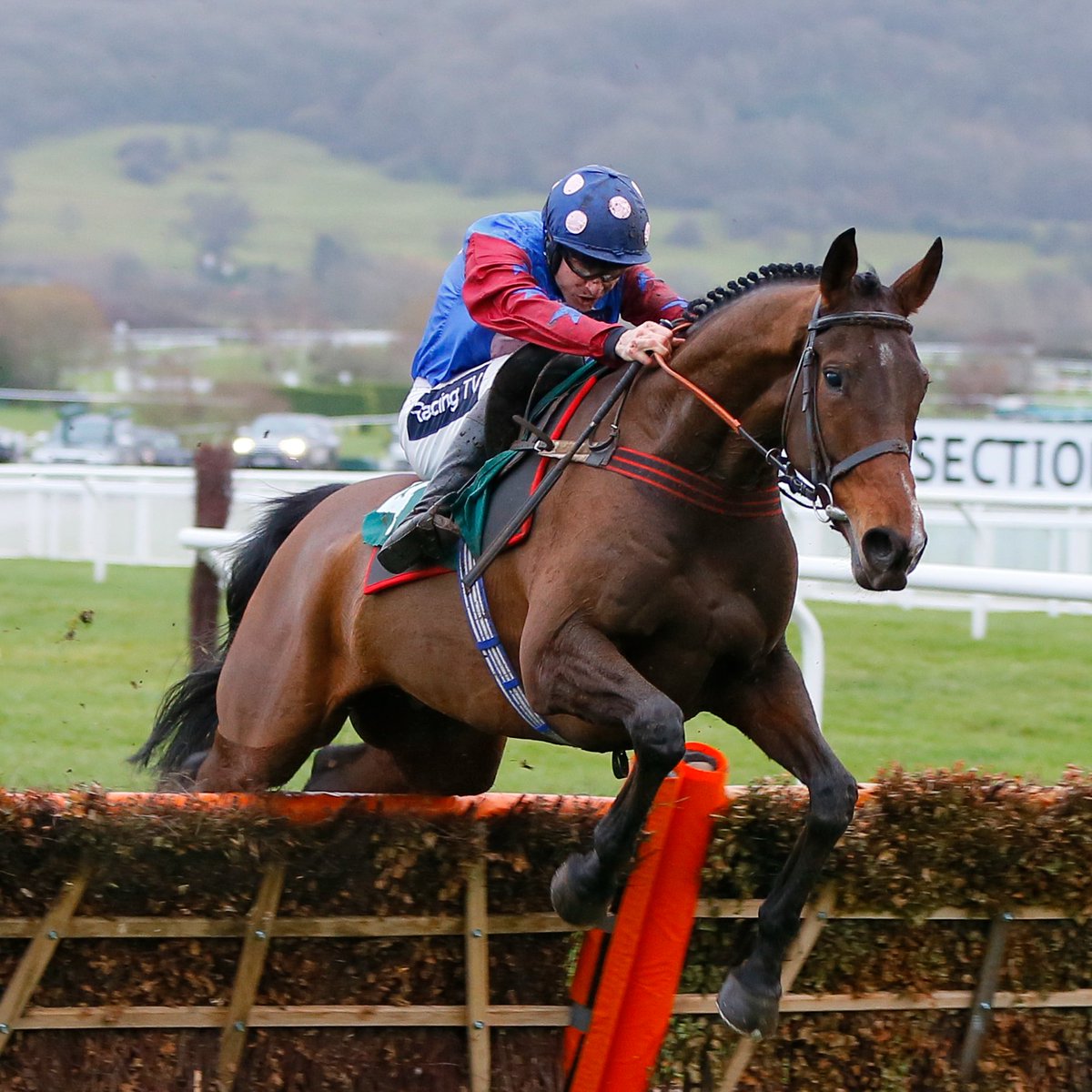 RacingPost's tweet photo. 🏇 31 runs
🥇 11 wins
9⃣ Graded victories
🏆 Stayers' Hurdle (Grade 1)
🏆🏆🏆 3x Long Walk Hurdle (Grade 1)
🏆🏆🏆 3x Cleeve Hurdle (Grade 2)
💰 Career earnings: £729,426

Happy retirement, Paisley Park 💙❤️ https://t.co/w6Uaxr0o1h
