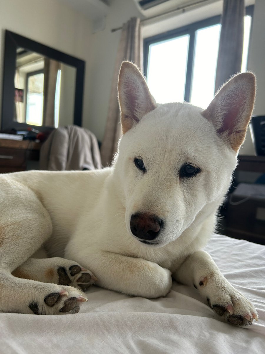 STEKY | CY CEO. tweet media