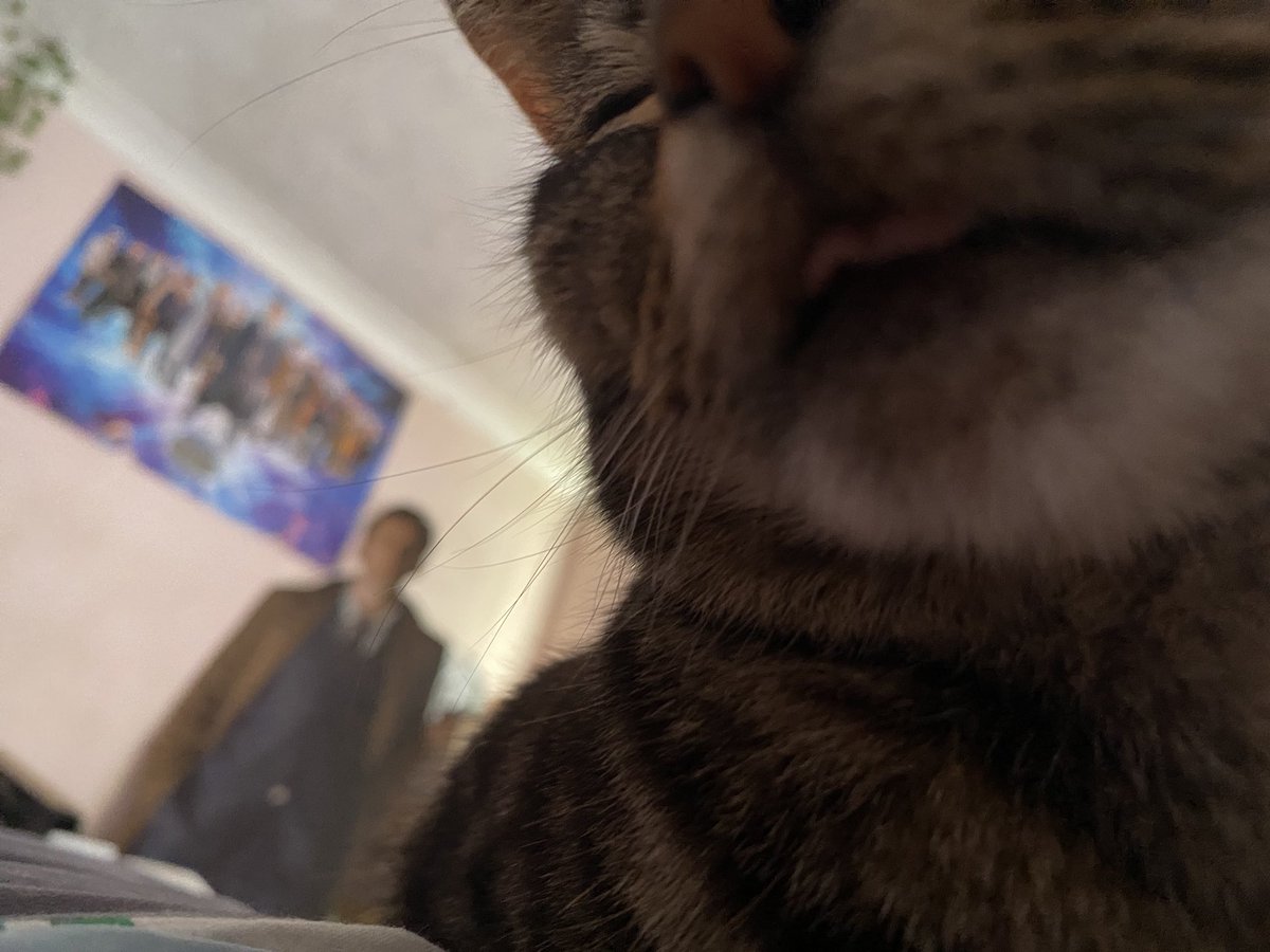 Y1pp3e_'s tweet photo. @moremarriott This is cindy, cindy loves attention and like looking at herself in the mirror for hours at a time https://t.co/xzn6oHFKj1