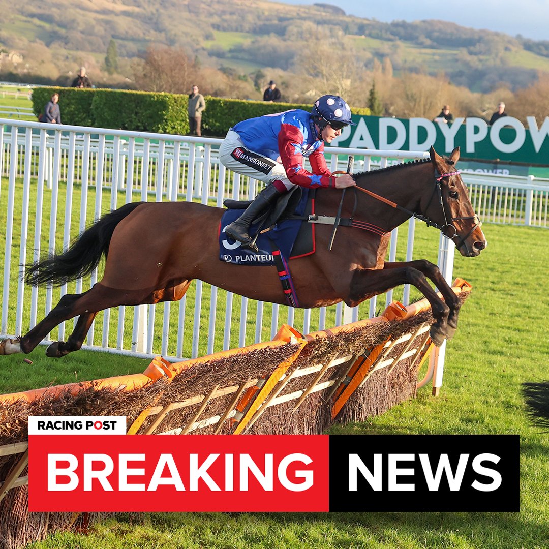 🚨 BREAKING: Hugely popular staying hurdler Paisley Park has been retired following his run in the Stayers' Hurdle at the Cheltenham Festival What a career he's had!