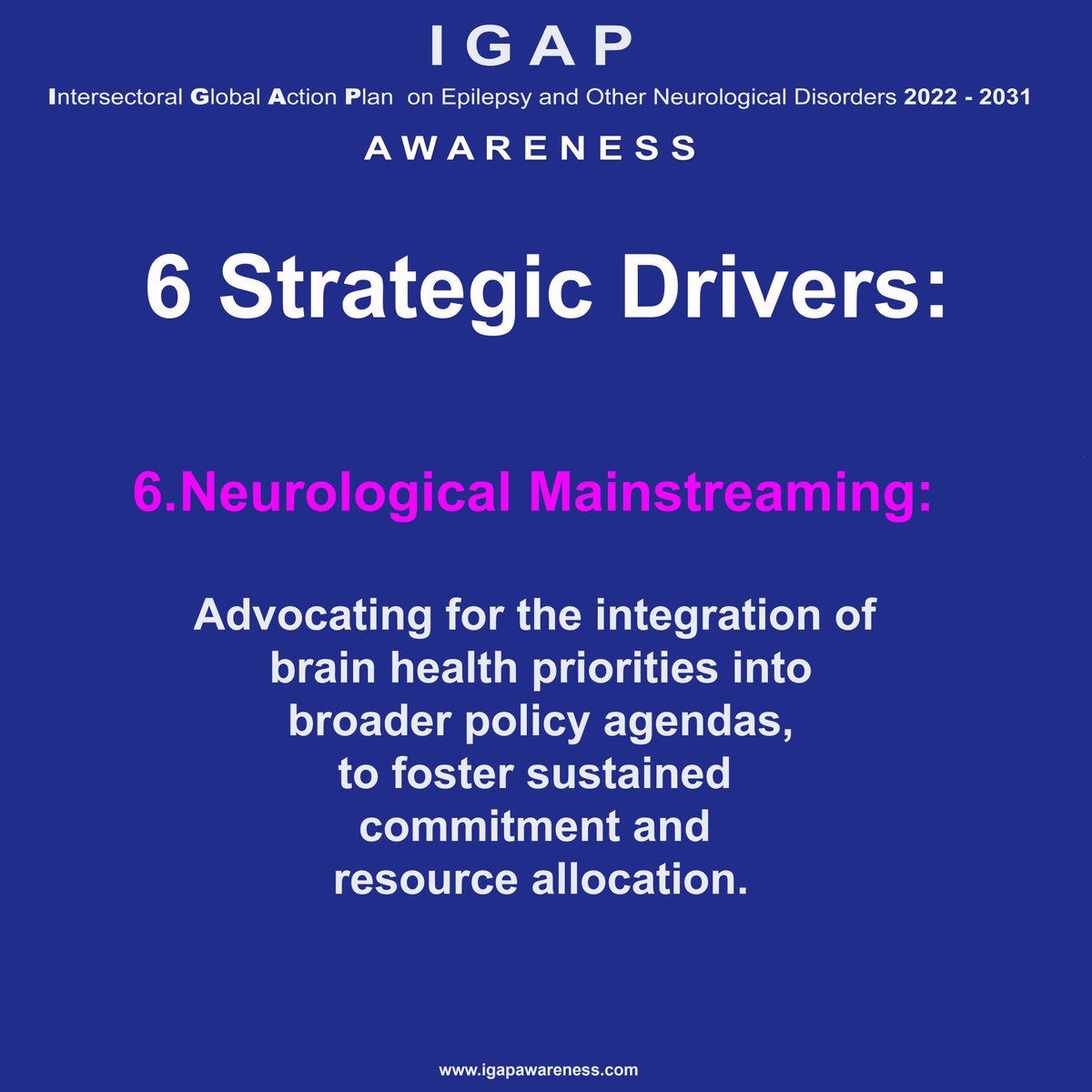 6 Strategic Drivers to achieve IGAP global priority targets for a Framework for Policy Action @IlaeWeb @LancetGH @OneNeurology_ @IlaeWeb @brainhealth @IBESocialMedia @WHO #brainawarenessweek2024