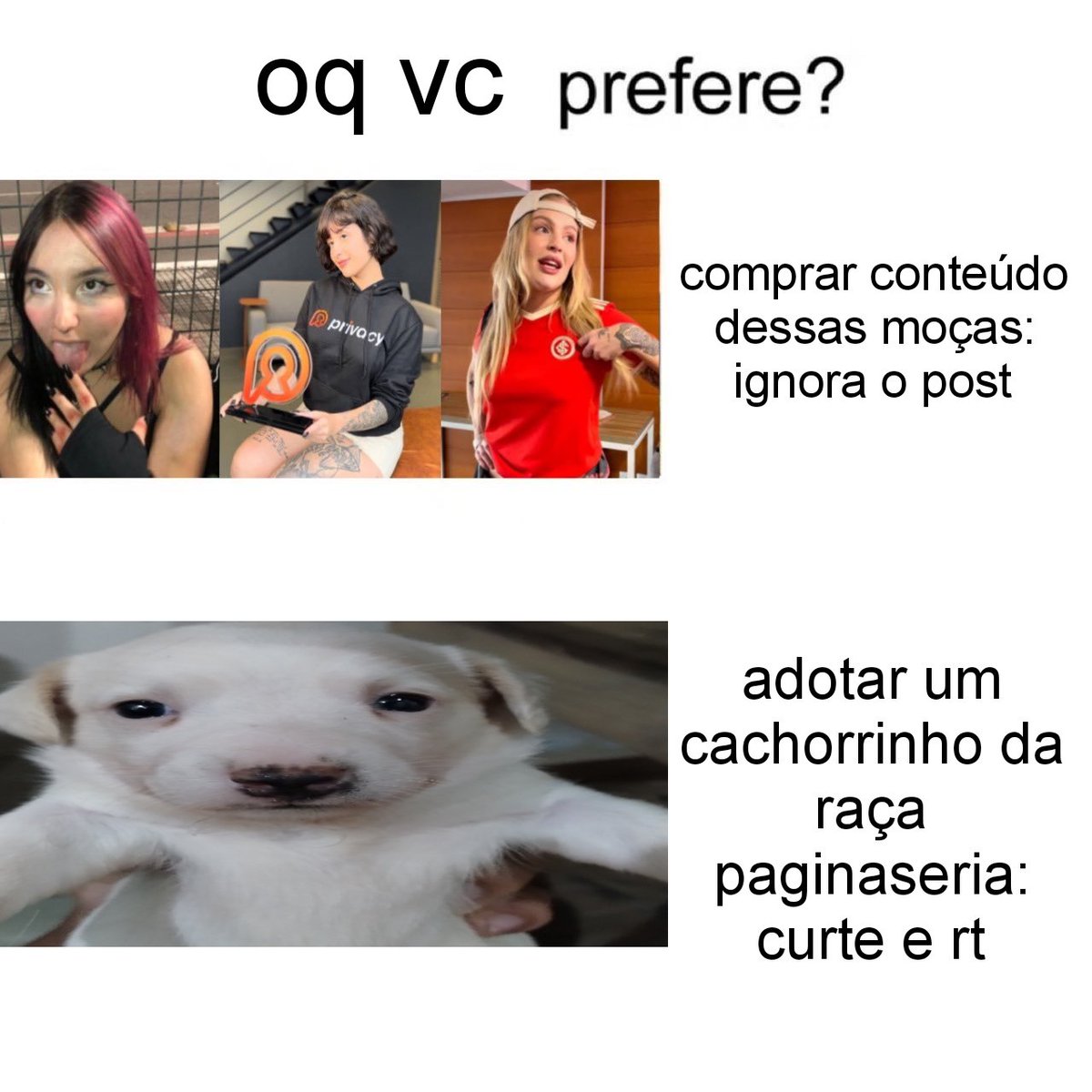 apaginaseria's tweet image. 